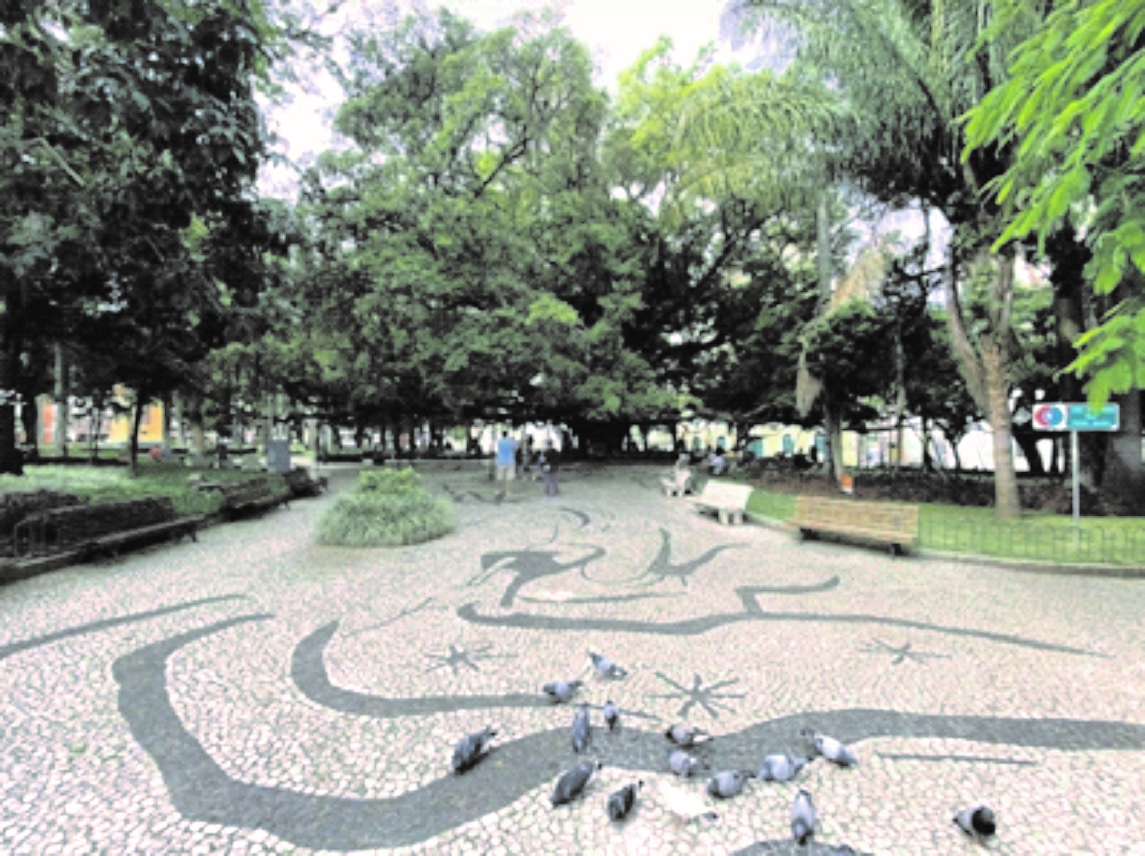Figura 04: Mosaico da Praça XV e Figueira Centenária. Fonte: Os autores, 2020